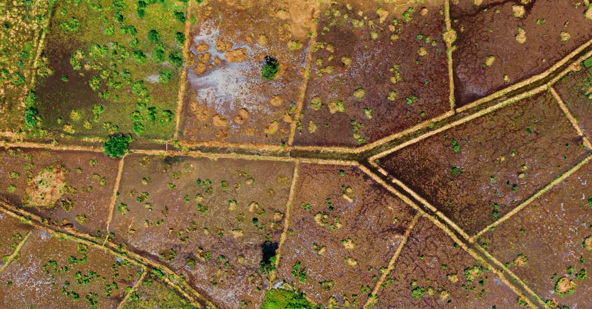 What Does a Licensed Professional Land Surveyor Do? Idaho PLS Requirements Explained